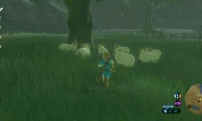This gamer discovers an adorable detail about sheep in Zelda: Breath of the Wild