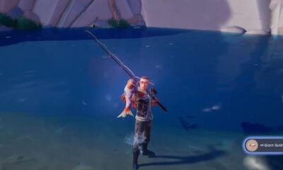 Palia - Giant Goldfish