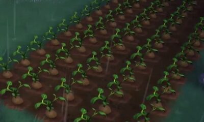 Disney Dreamlight Valley - Yam