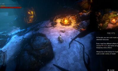 No Rest for the Wicked: How to Replenish Health & Cook Food