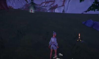 Where to Find & Catch Brighteye Butterfly in Palia