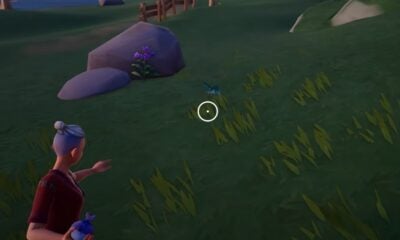 Where to Find & Catch Common Blue Butterfly in Palia