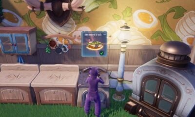 Palia: How to Make Steamed Fish