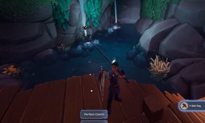 where to find and catch bat ray in palia