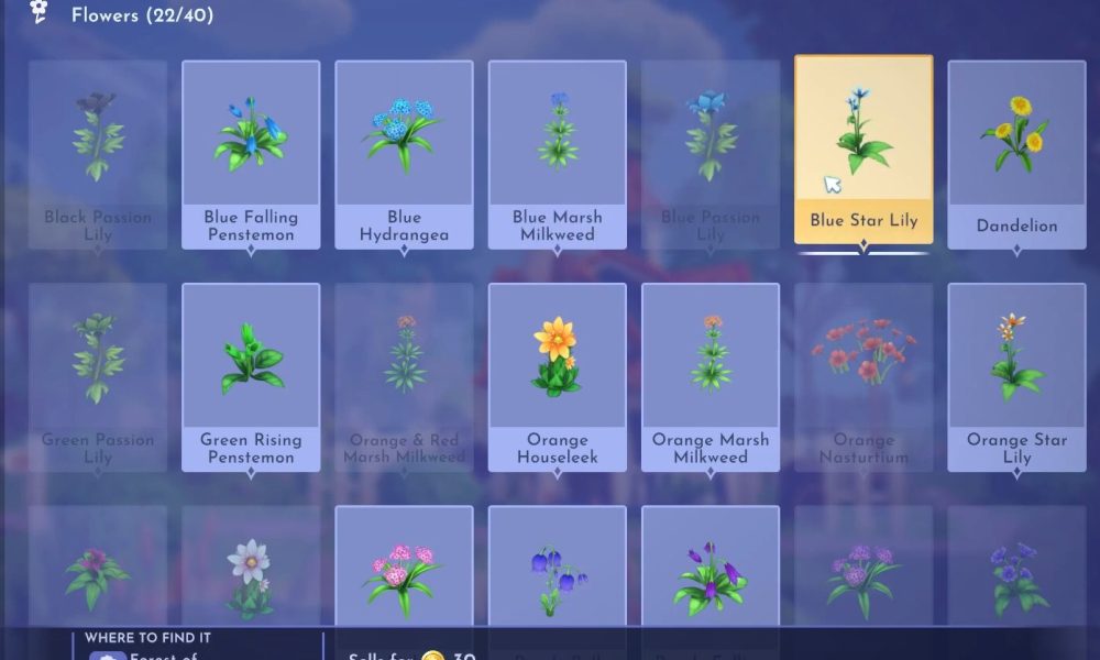 Wo kann man Blue Star Lily im Disney Dreamlight Valley finden