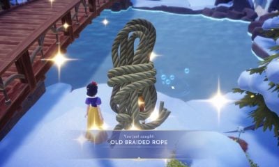 how to get old braided rope in disney dreamlight valley
