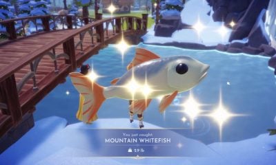 where to find and catch mountain whitefish in disney dreamlight valley