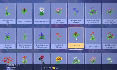 where to find red bromeliad in disney dreamlight valley