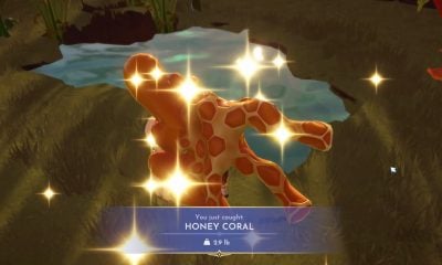 how to get honey coral in disney dreamlight valley
