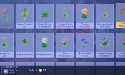 where to find orange nasturtium in disney dreamlight valley