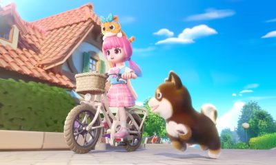 how to get pets in heartopia main