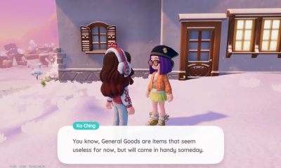 how to increase inventory slots in heartopia