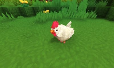 where to find chickens in hytale