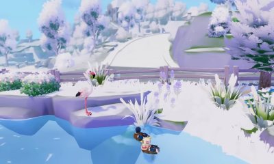 all winter birds in heartopia and how to take pictures of them