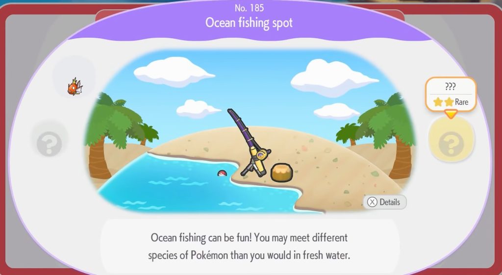 Restore an Ocean Fishing Spot Habitat at the Shore