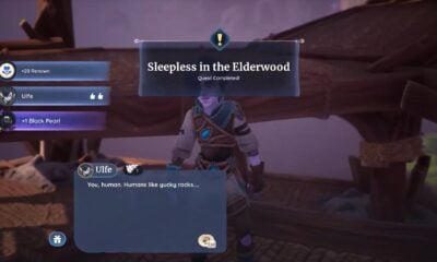 sleepless in the Elderwood quest guide in palia