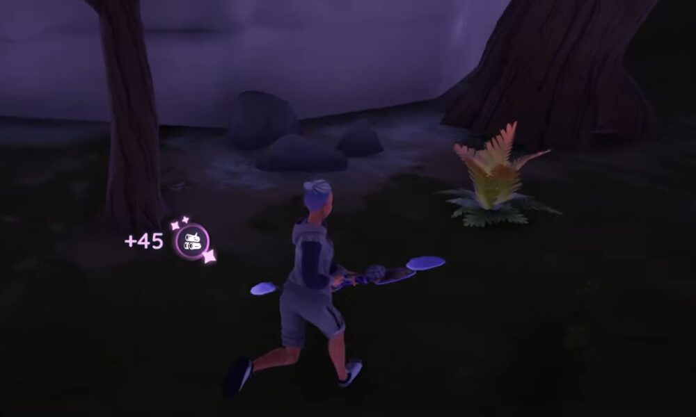 The Nature of Shadows Quest Palia