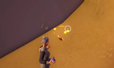 where to find and catch flame queen in palia