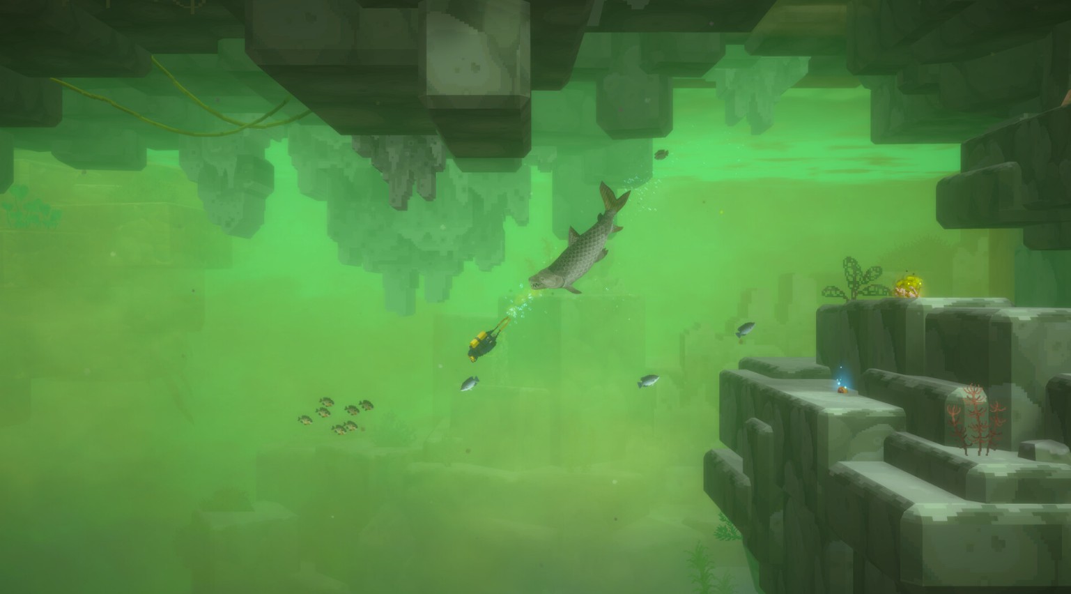 dave the diver in the jungle all fish location guide