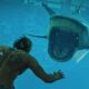 how to get great white shark bone in great white shark location in ac black flag resynced