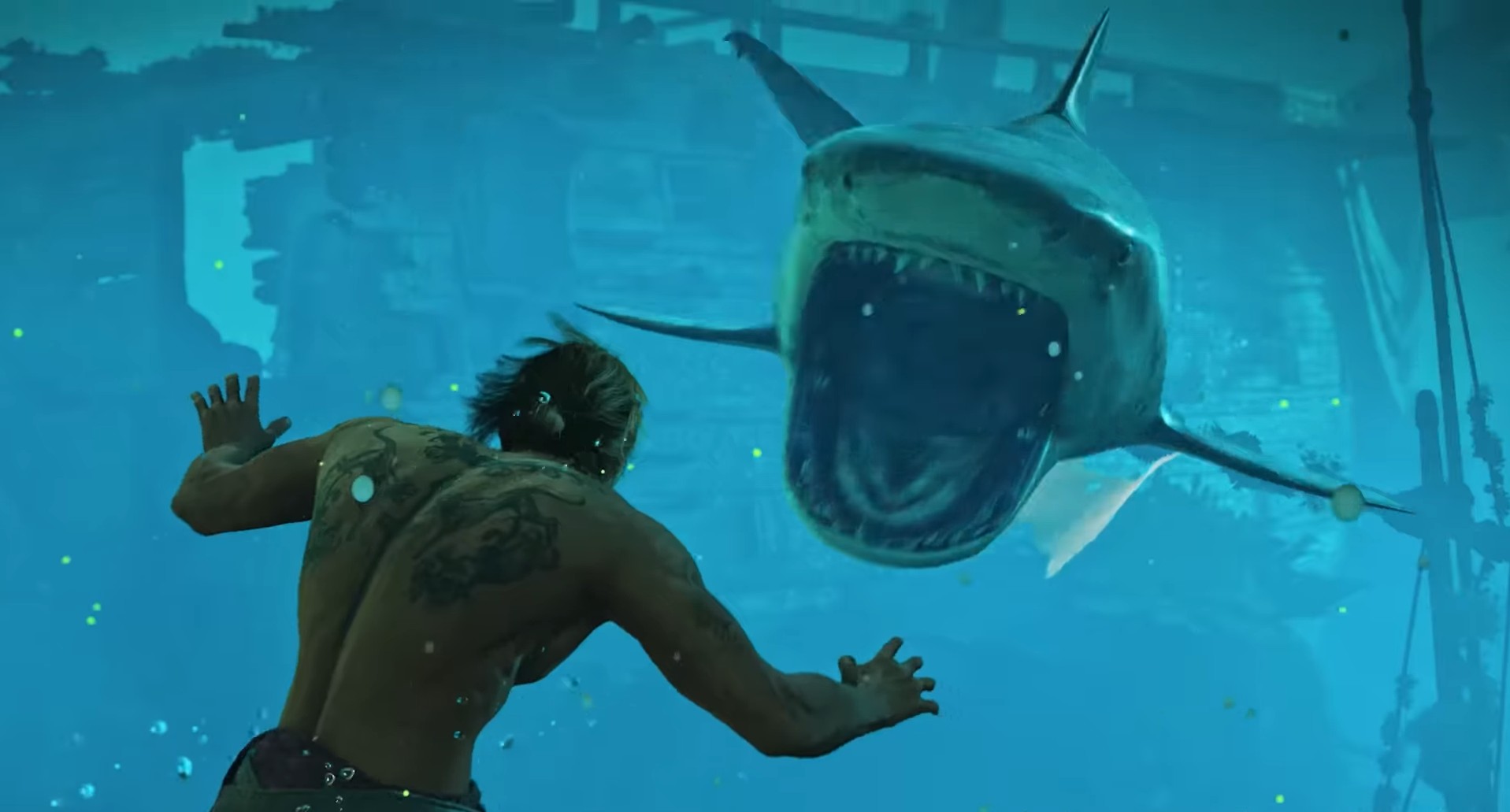 how to get great white shark bone in great white shark location in ac black flag resynced
