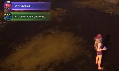palia how to get crab shell