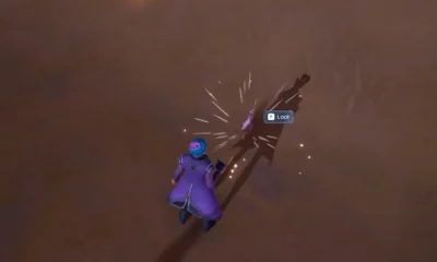 where to find and catch heartdrop mantis in palia